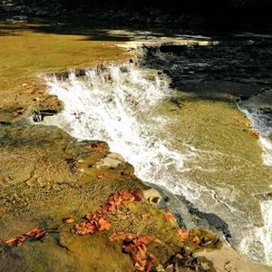 Meet your Posher, Kathleen